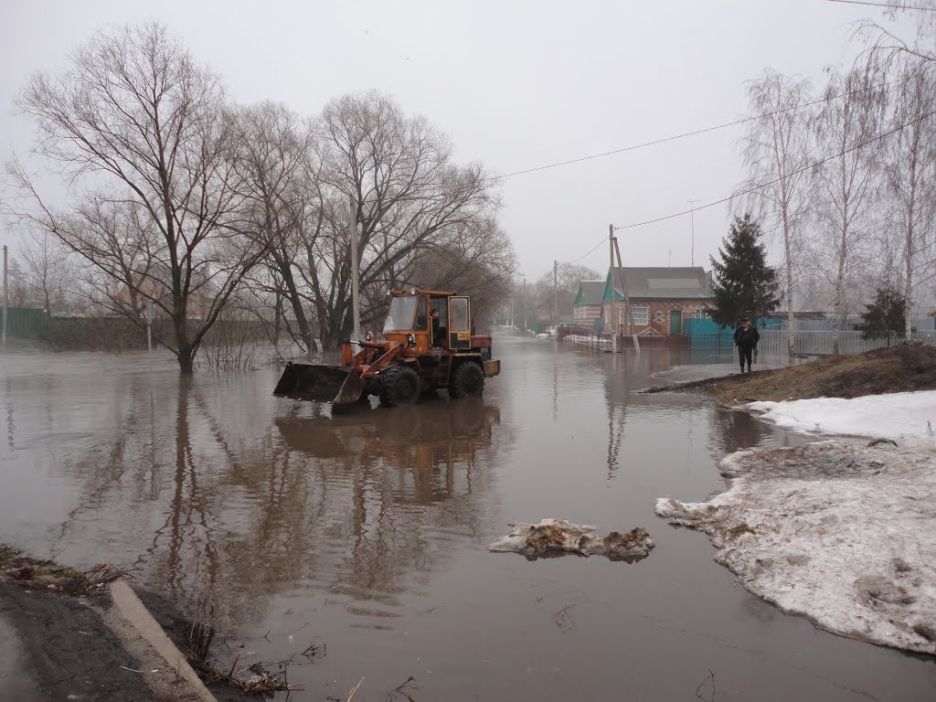 Весенний паводок, Пичаево