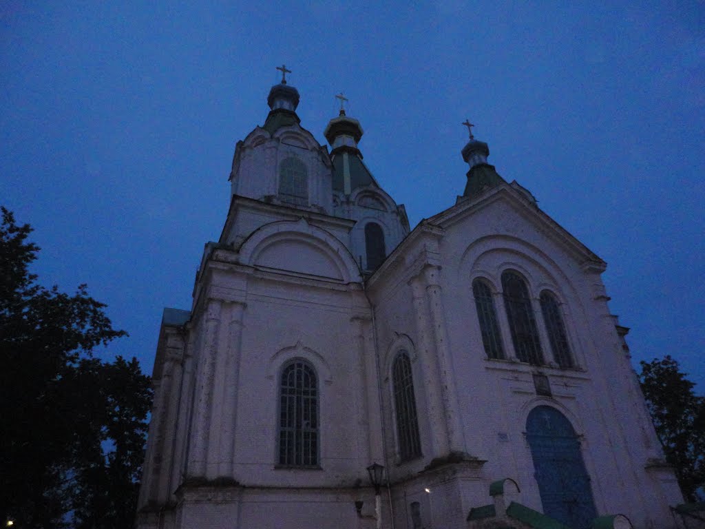Свято- Троицкая церковь в селе Пичаево, Пичаево