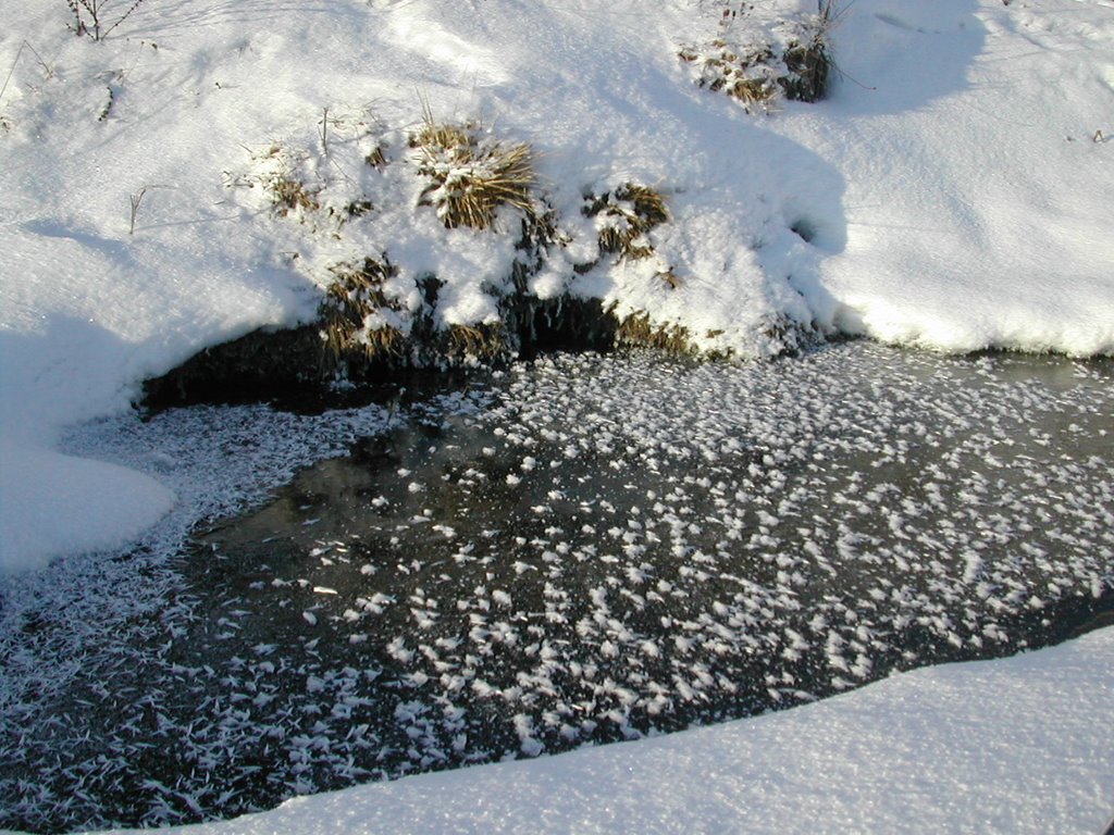 Громушка зимой, Пичаево