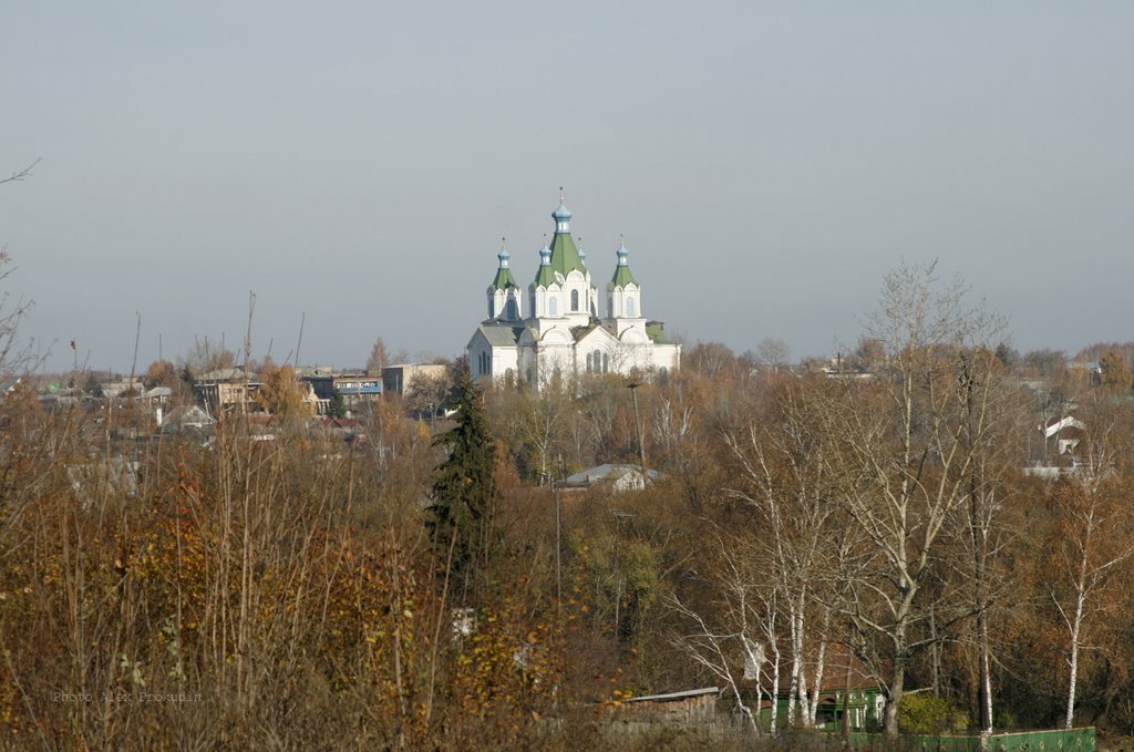 Село Пичаево. Церковь Троицы Живоначальной, Пичаево