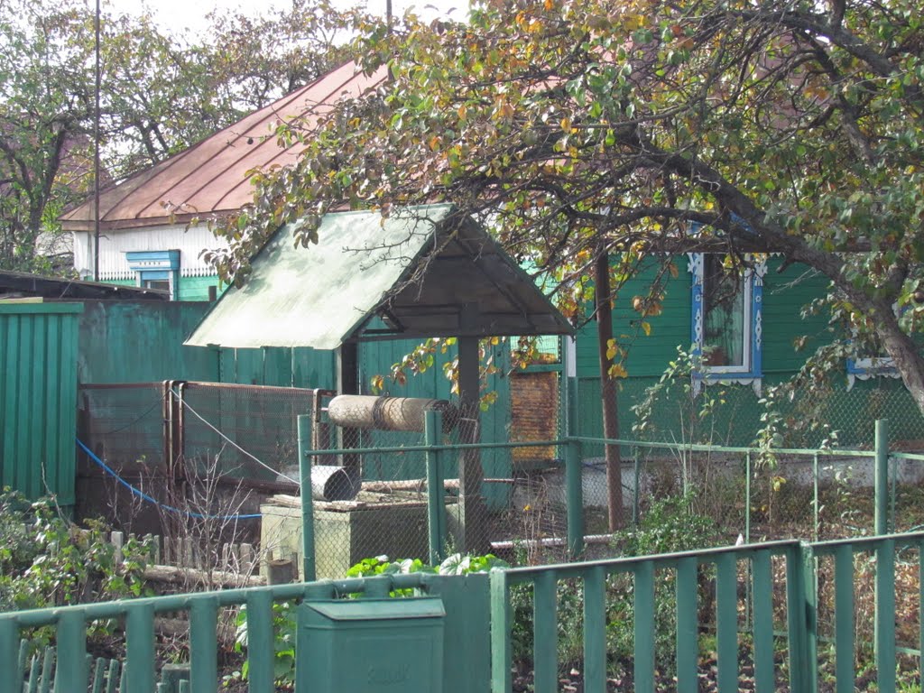 Private well in a garden, Рассказово