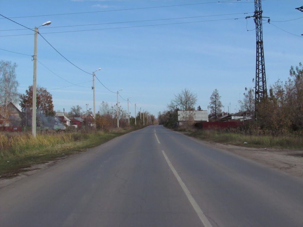 Crossing the road at the edge of town, Рассказово