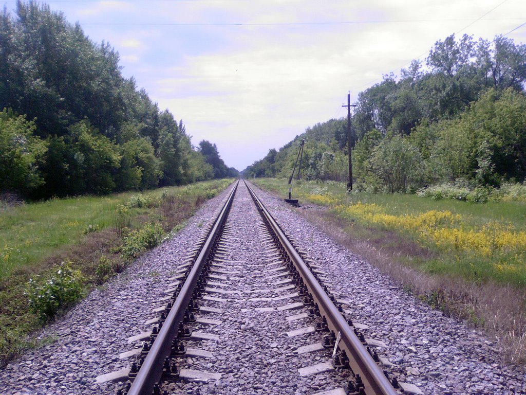 Железная дорога (фото 1), Ржакса