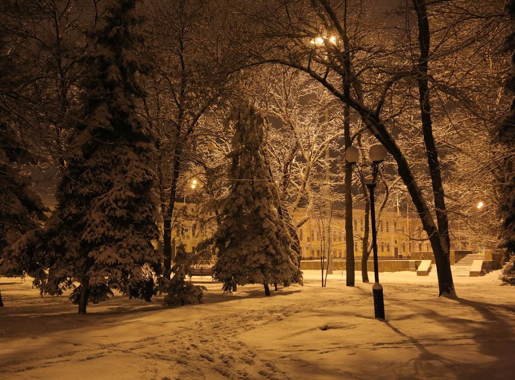 Мартовская ночь - внезапное возвращение  зимы ., Тамбов