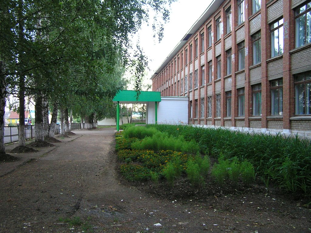 Общеобразовательная школа №2 г.Агрыз. бывшая №74, Агрыз