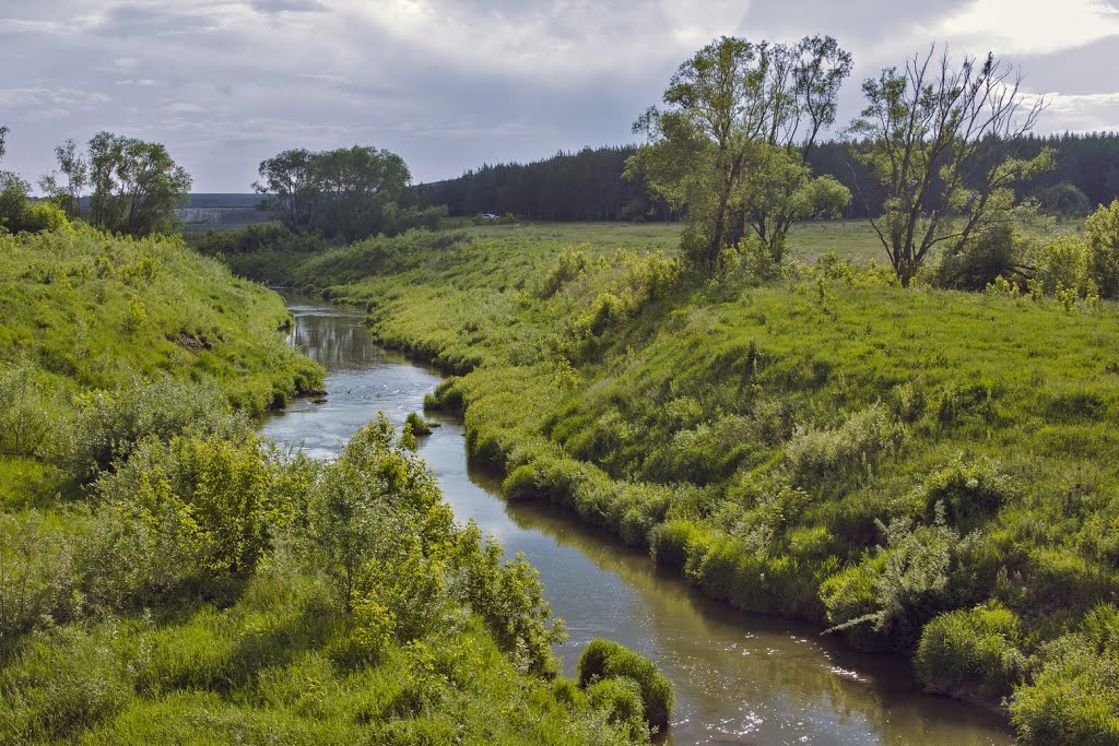 Река Казанка близ Арска, Арск
