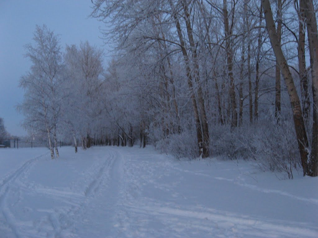 Зимний парк, Бугульма