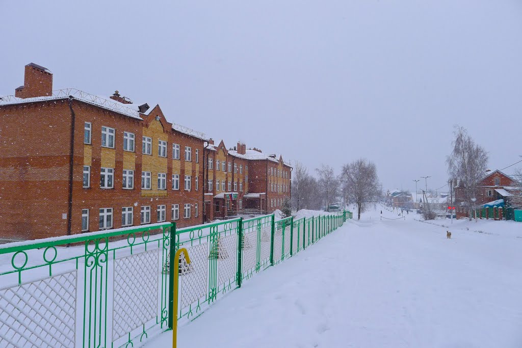центральная улица, Буинск