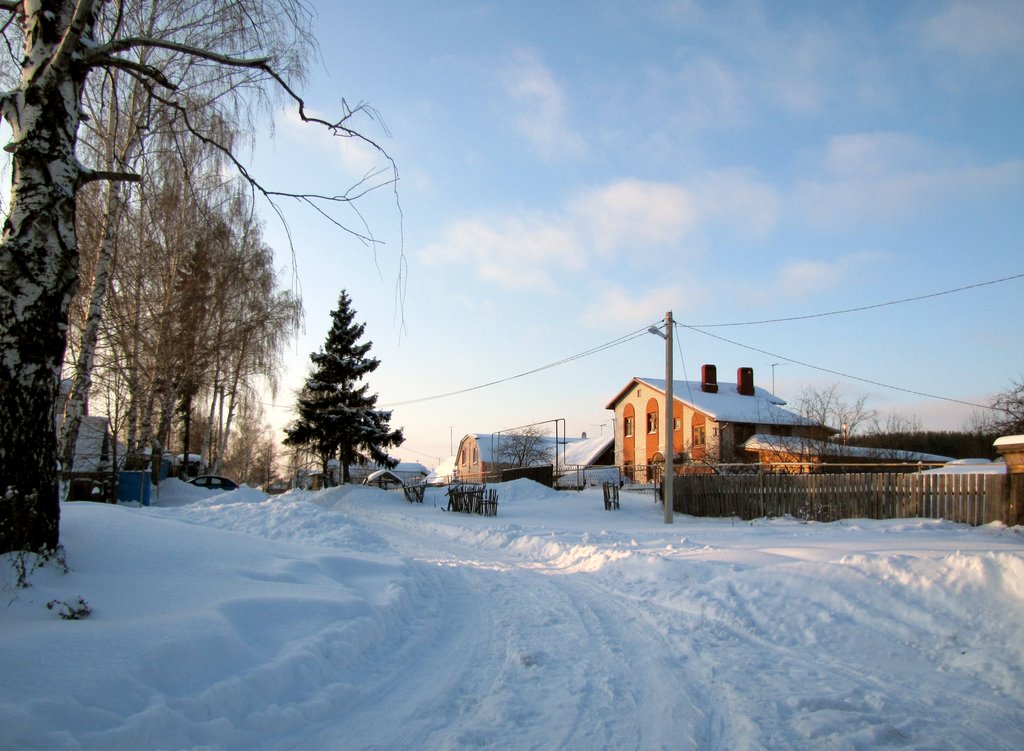 Посёлок ВасильевоVillage Vasilievo, Васильево