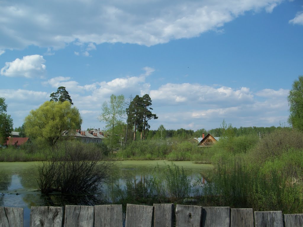 Вид на дома по ту сторону болота//View of the houses on that side of the swamp, Васильево