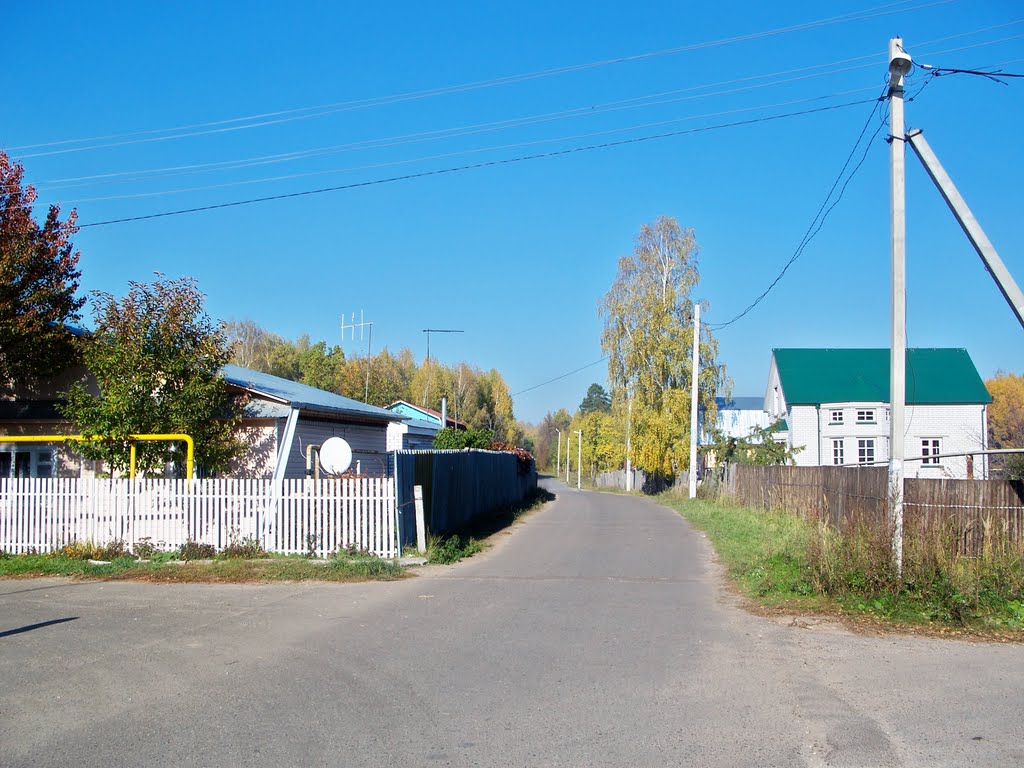 Васильевская дорога к речке//Vasilyevo road to the river, Васильево