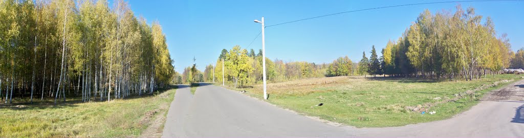 Дорога к Васильевским дачам//The road to Vasilyevo`s dachas, Васильево
