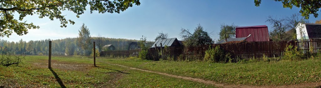 Дачи в Васильево//Cottages in Vasilevo, Васильево