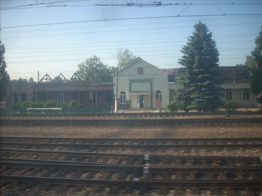 Станция Васильево, Васильево