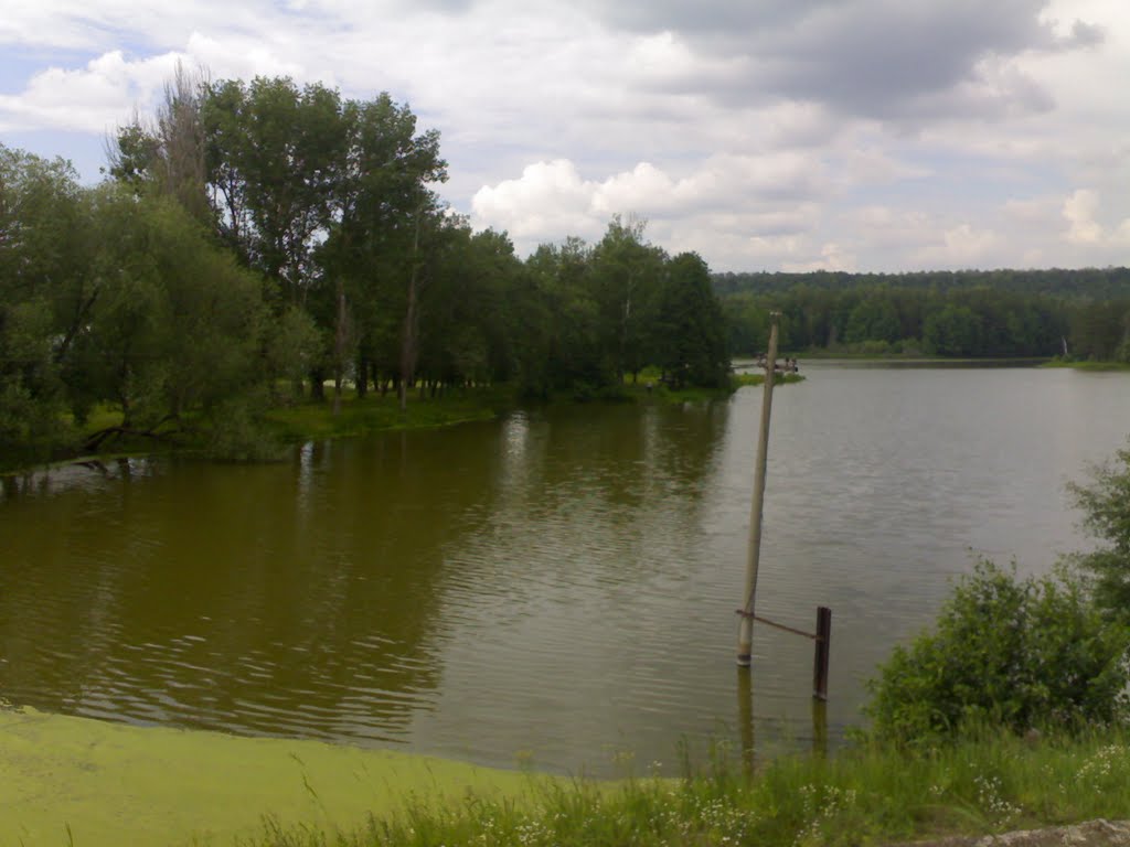 Утонувший столб, Васильево