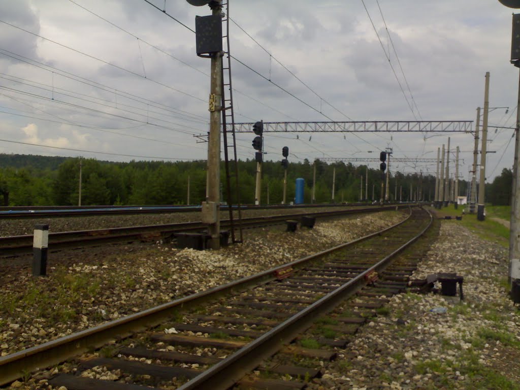 Ж/Д на 774 км///railway to 774 km, Васильево