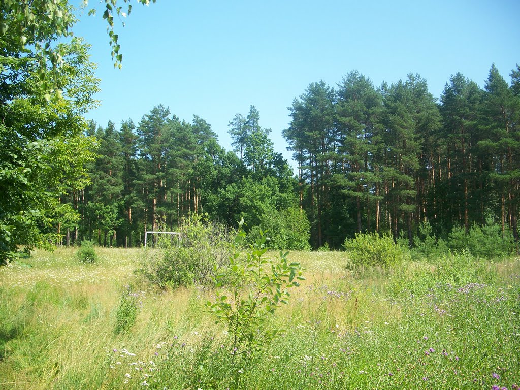Футбольное поле возле дач///A soccer field near the cottages, Васильево