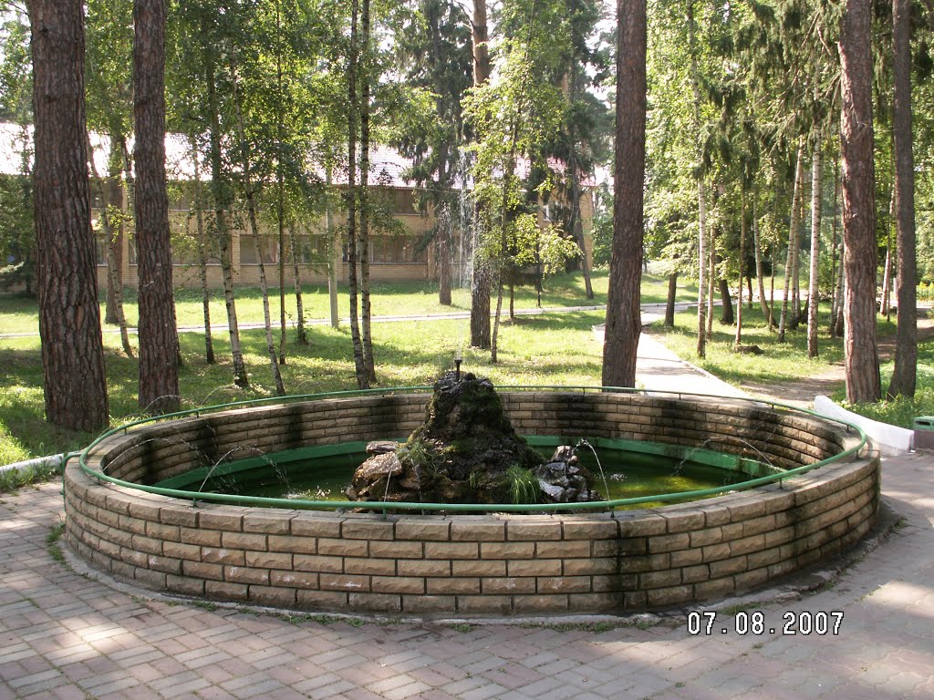Фонтан из камней, Васильево