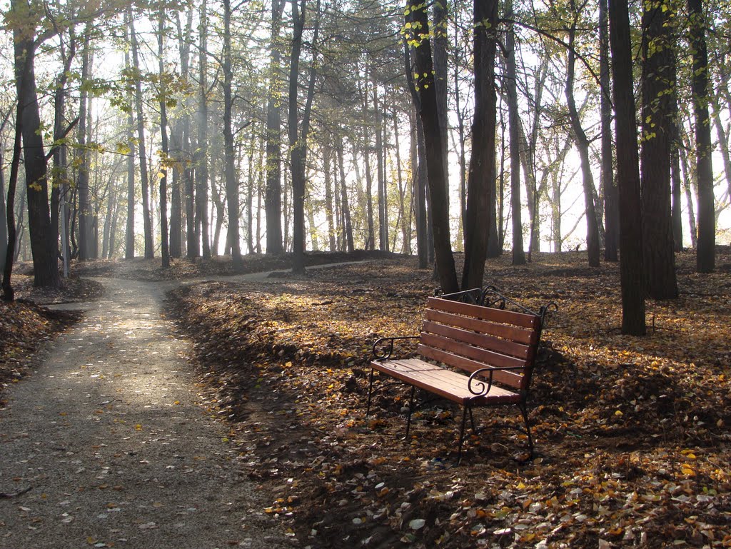 Скамейка в парке. Осень., Елабуга