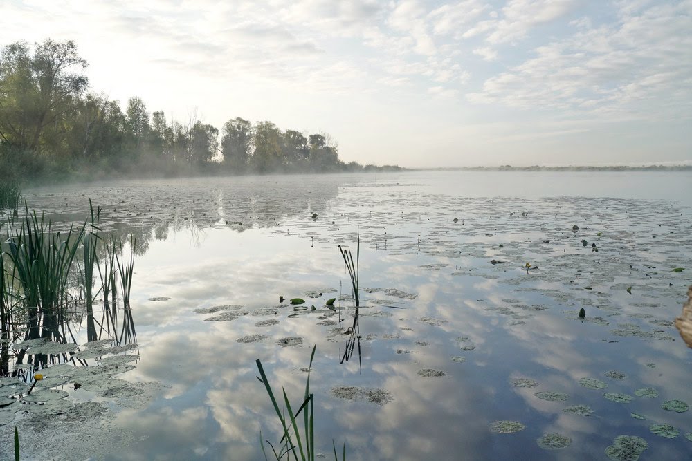 Озеро Спасское, Елабуга