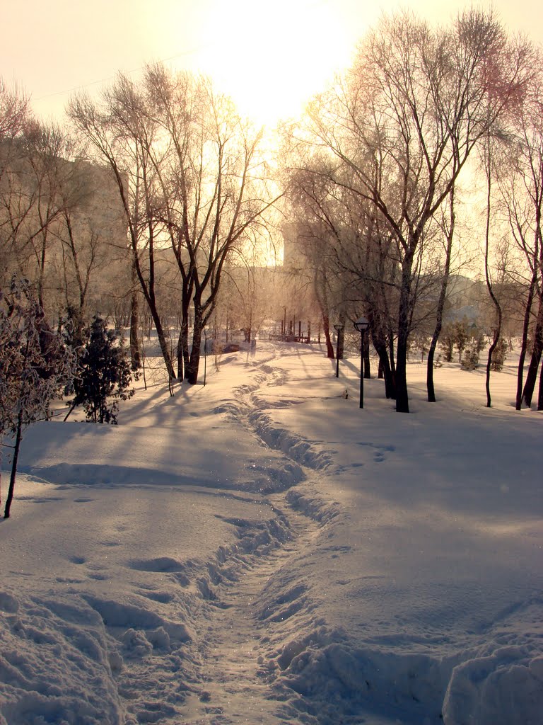 Тропинка к солнцу, Заинск