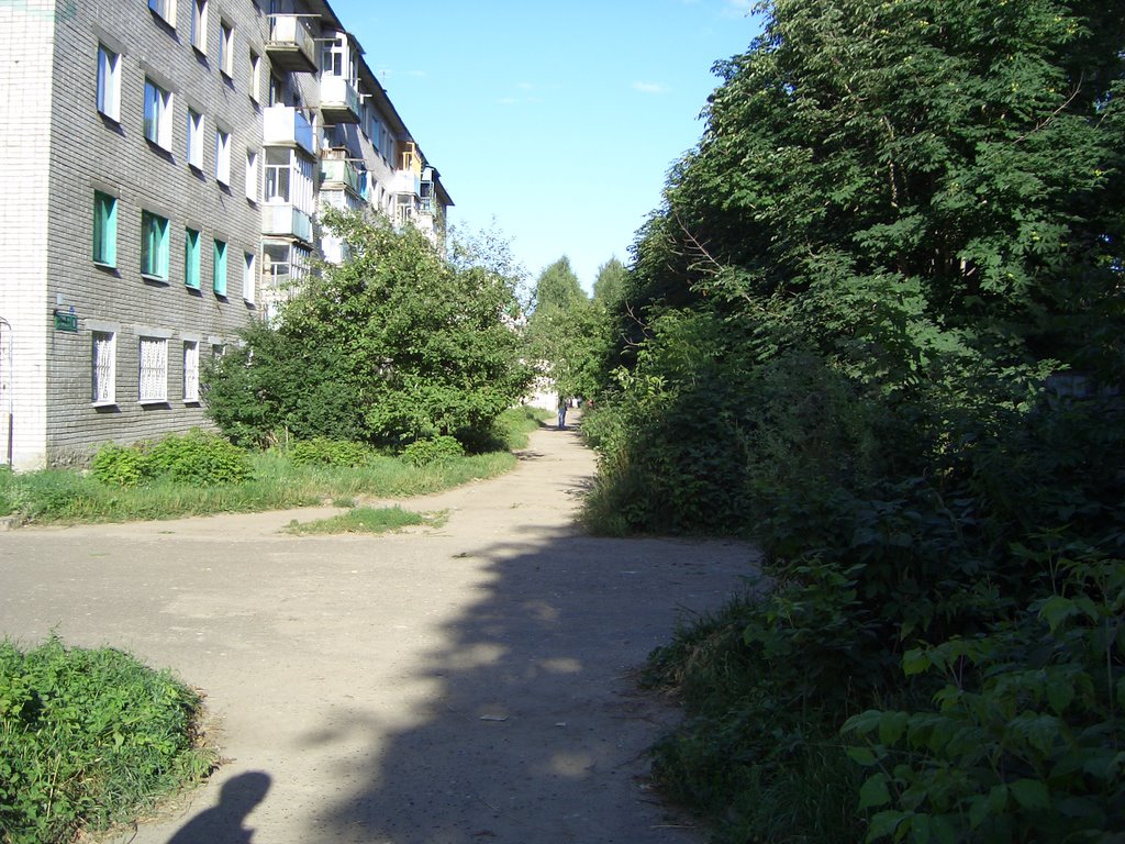 улица Тургенева в Зеленодольске, Зеленодольск