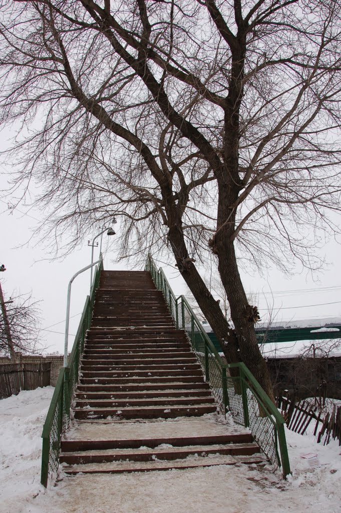 Пешеходный мост, Куйбышев
