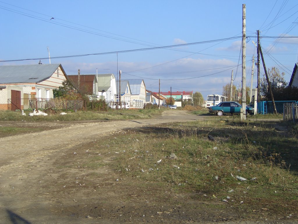 улица Мира в Лаишево, Лаишево