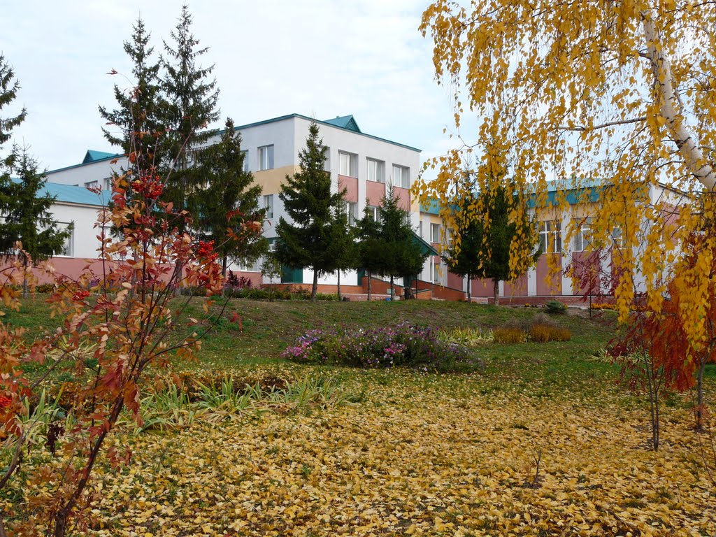 ЛСШ №2 / Laishevs secondary school №2, Лаишево