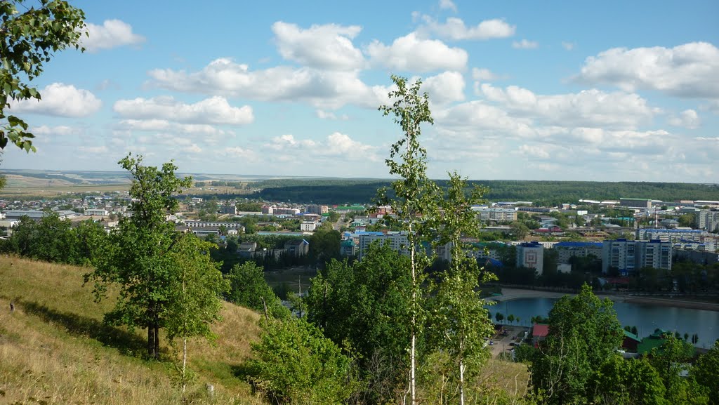 Вид на Лениногорск с холма, Лениногорск
