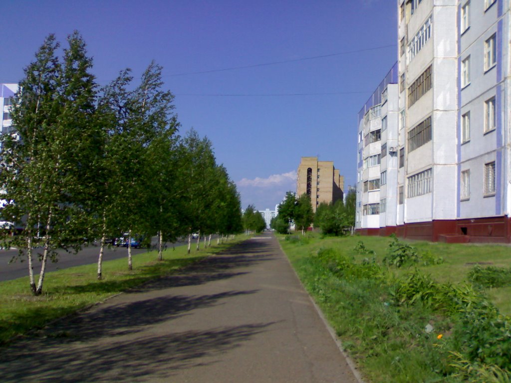 улица Сююмбике, Нижнекамск
