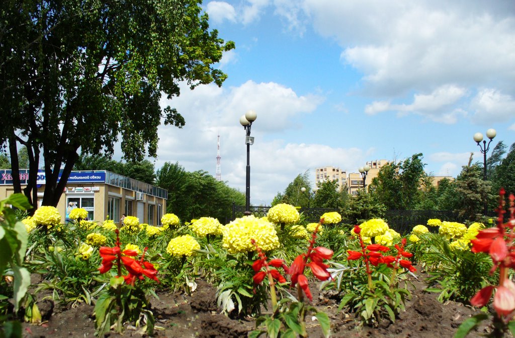 цветочная клумба, Нижнекамск