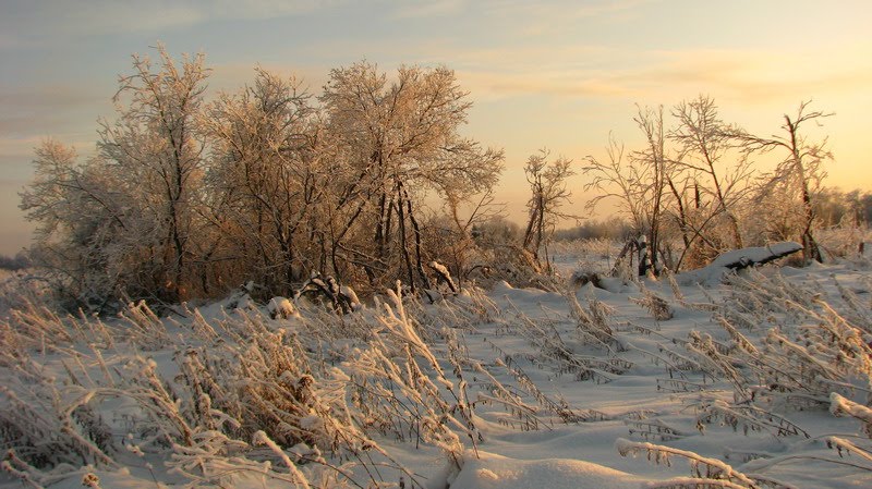 Зима, Северск