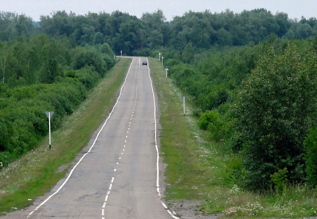 Дорога на Старую Шегарку, 07.2011., Мельниково