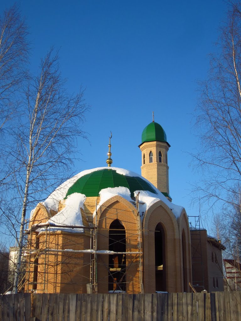 Строительство мечети, Стрежевой