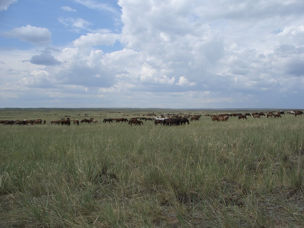 Тувинская степь, Самагалтай