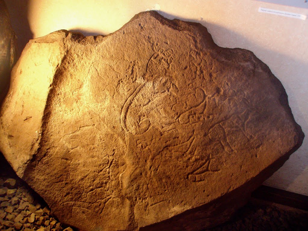 Stone with petroglyphs from the Scythian kurgan burials Arzhan-2 in museum of local lore of Turan, Туран