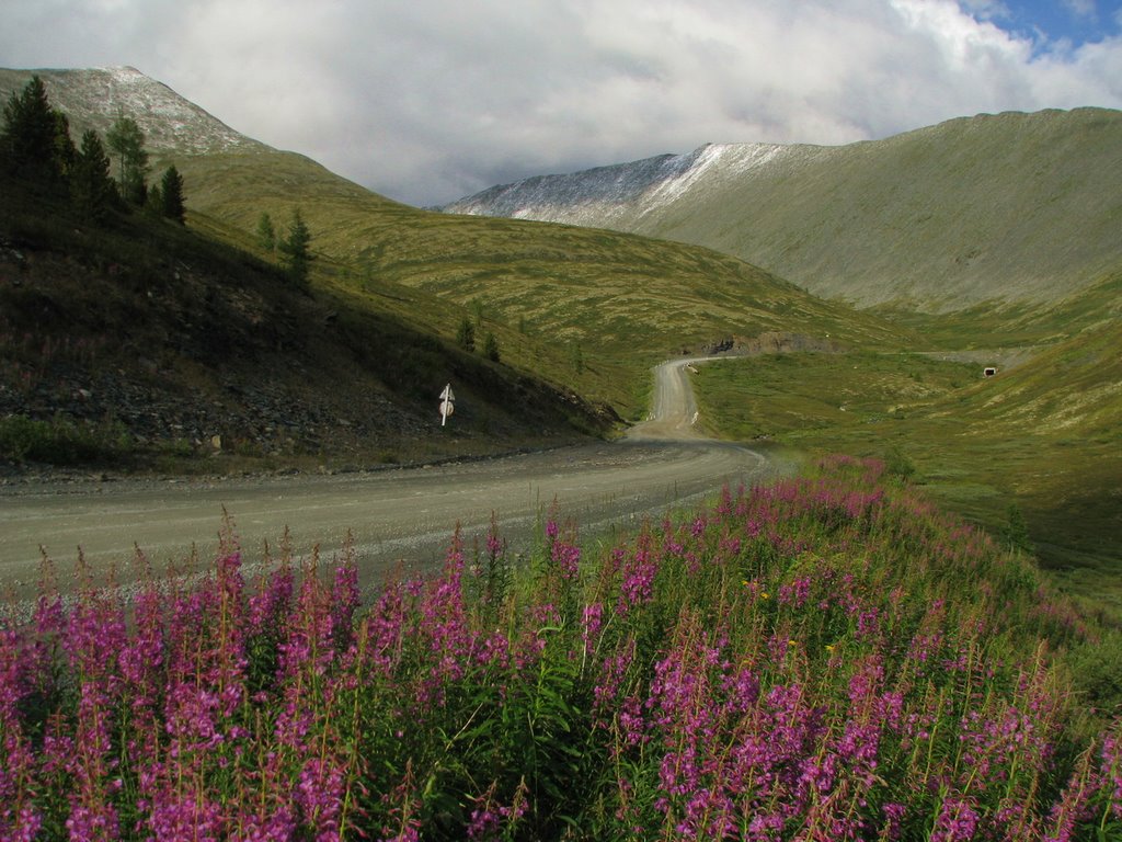 Трасса А161 и подъем на перевал Куру-Куль (август 2009г.), Тээли