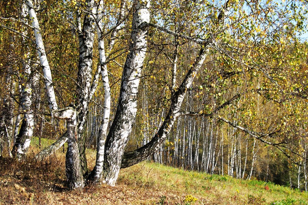 Autumn on Kolyupanono N2, Алексин
