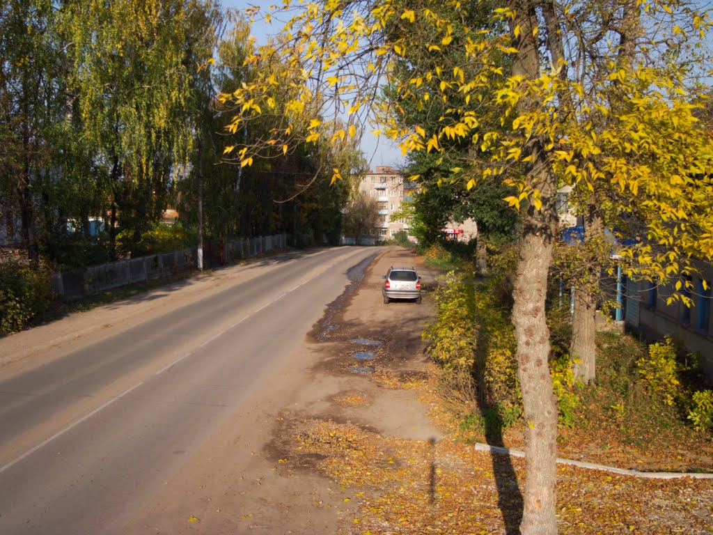 Pionerskaya street (08.10.2011), Алексин
