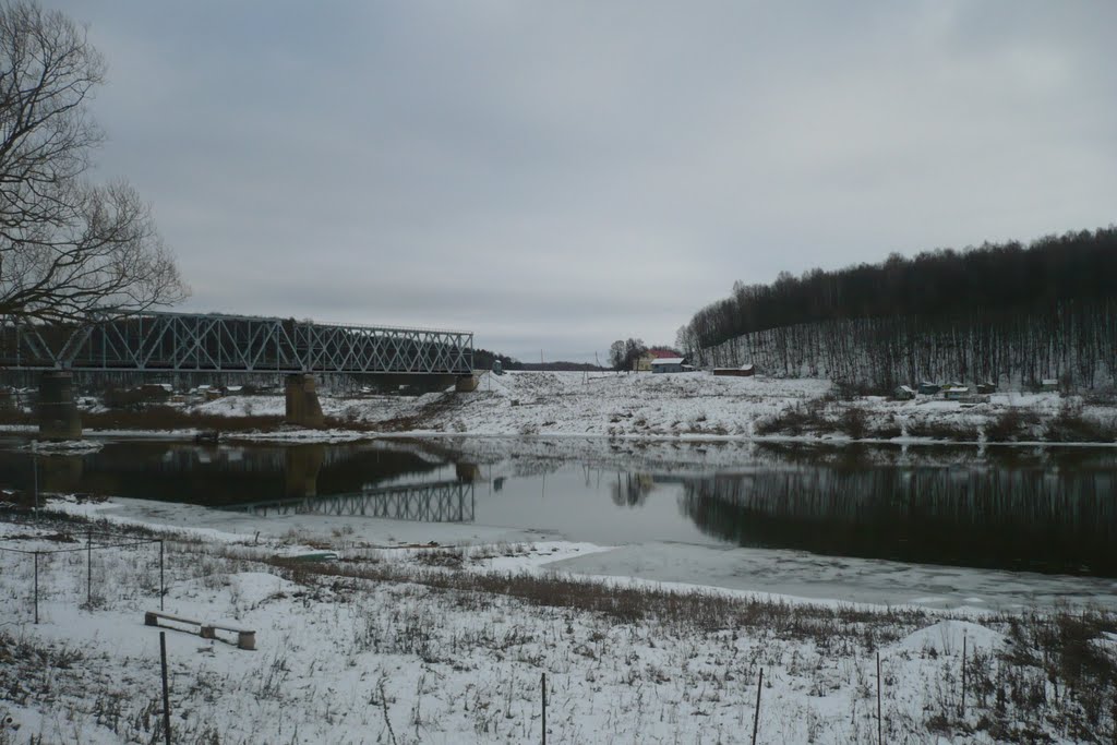 Жд мост в г. Алексин., Алексин