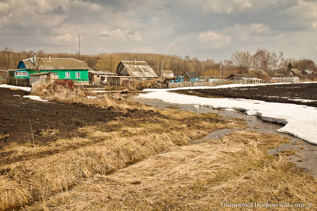 Ручьи вдоль поля, Арсеньево
