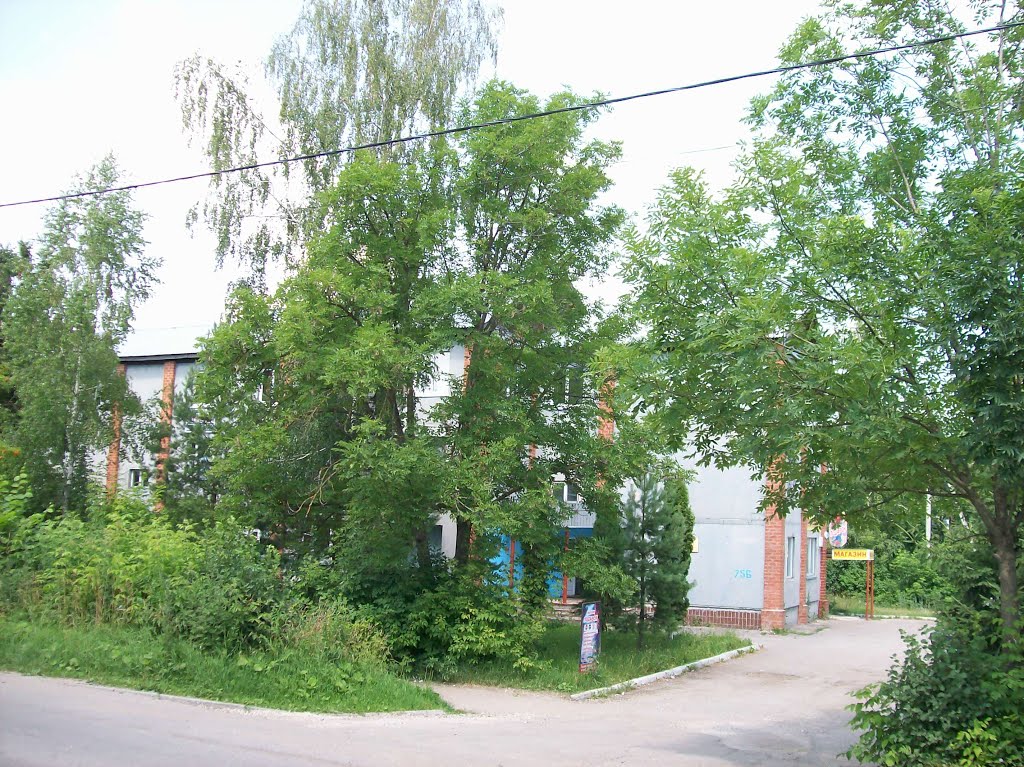 Арсеньево. На улице Бандикова, Арсеньево