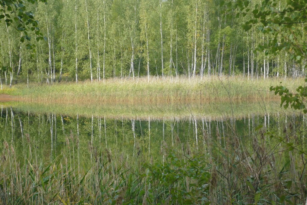 Лесное озеро., Бегичевский