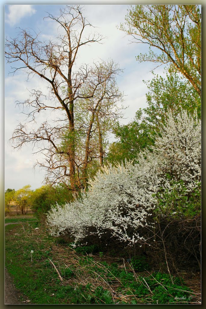 Весна, Богородицк