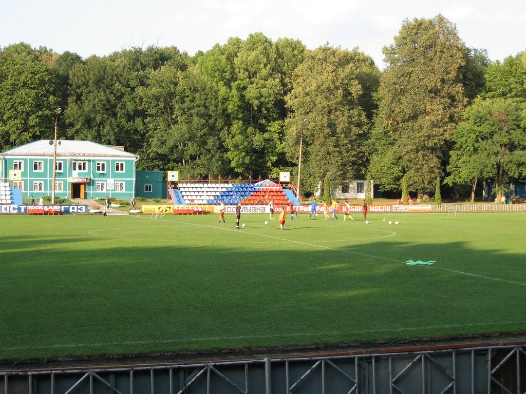 Стадион в городской роще, Ефремов