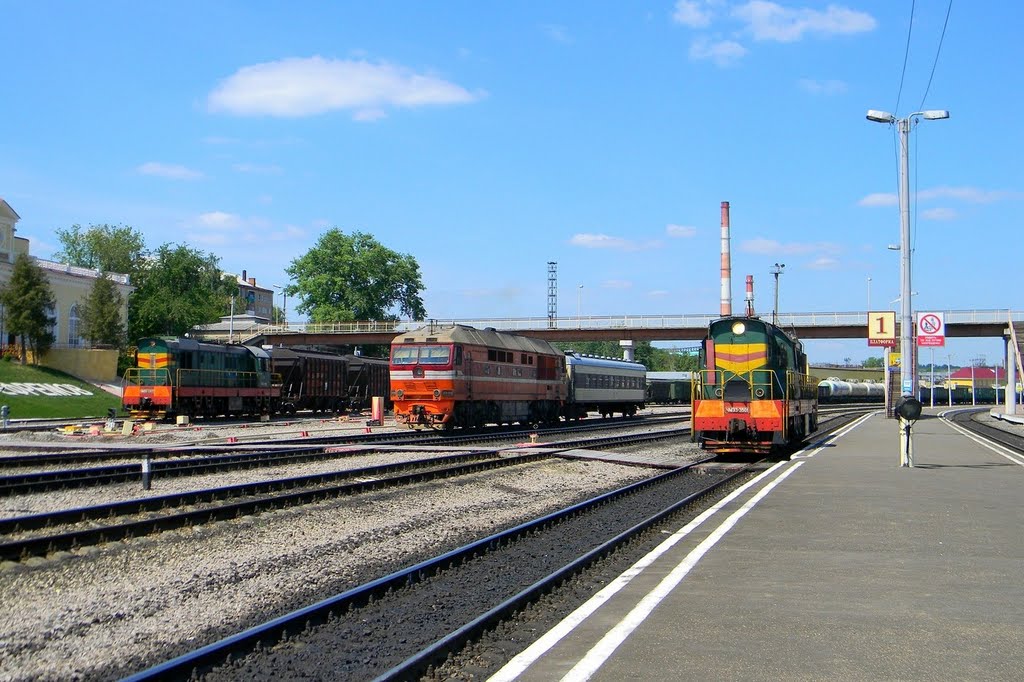 Железнодорожный вокзал станции Ефремов, Ефремов