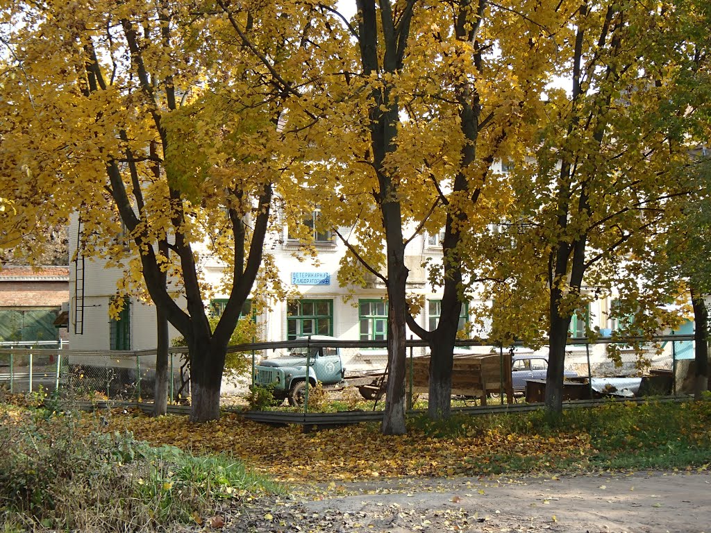 Ветеринарная лаборатория, Ефремов