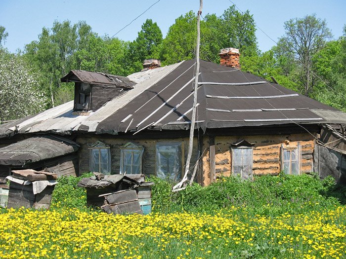 House of beekeeper. Пасека, Заокский