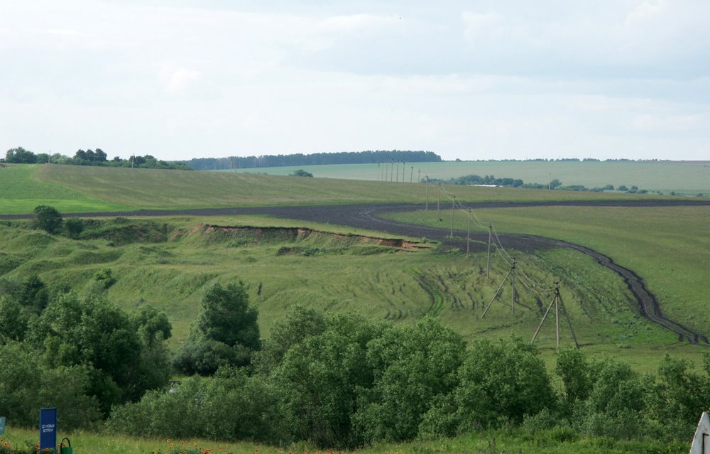 Battle of Kulikovo - Куликово поле, Казановка